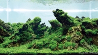 The Taking of Tiger Mountain