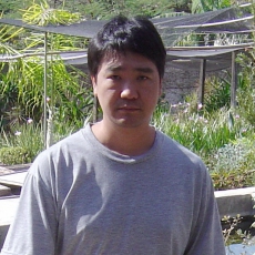 Rony Suzuki