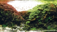 River Stream of Enchanted Mountains