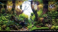Into the Atlantic Forest