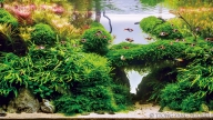 Tropical Bay