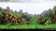 WORLDWIDE GREEN