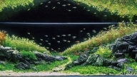 Nagareboshi