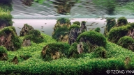 Les Piliers de la Nature