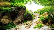Gunga's cliff