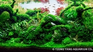 Green path