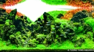 Rock Valley
