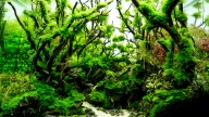 River flow in Your