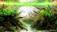 Origens