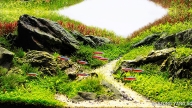 Treading horizons