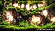 Mysterious Forest Roads