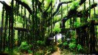 Jungle