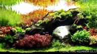 The Beauty of Autumn and Spring