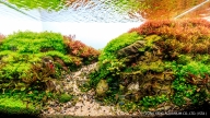 Mountain Path