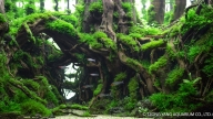 Pan's Labyrinth