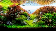 Crystal Valley