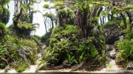 Green Malatiye