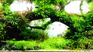Full of Life