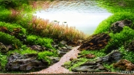 Melodies of Life