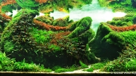 The SKY Garden