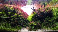 Colourful River Bank