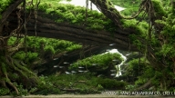 Spirited Away