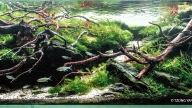 River by You