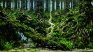 Song of Forest