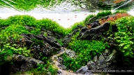 The Garden of Eden