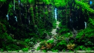 Magic Forest